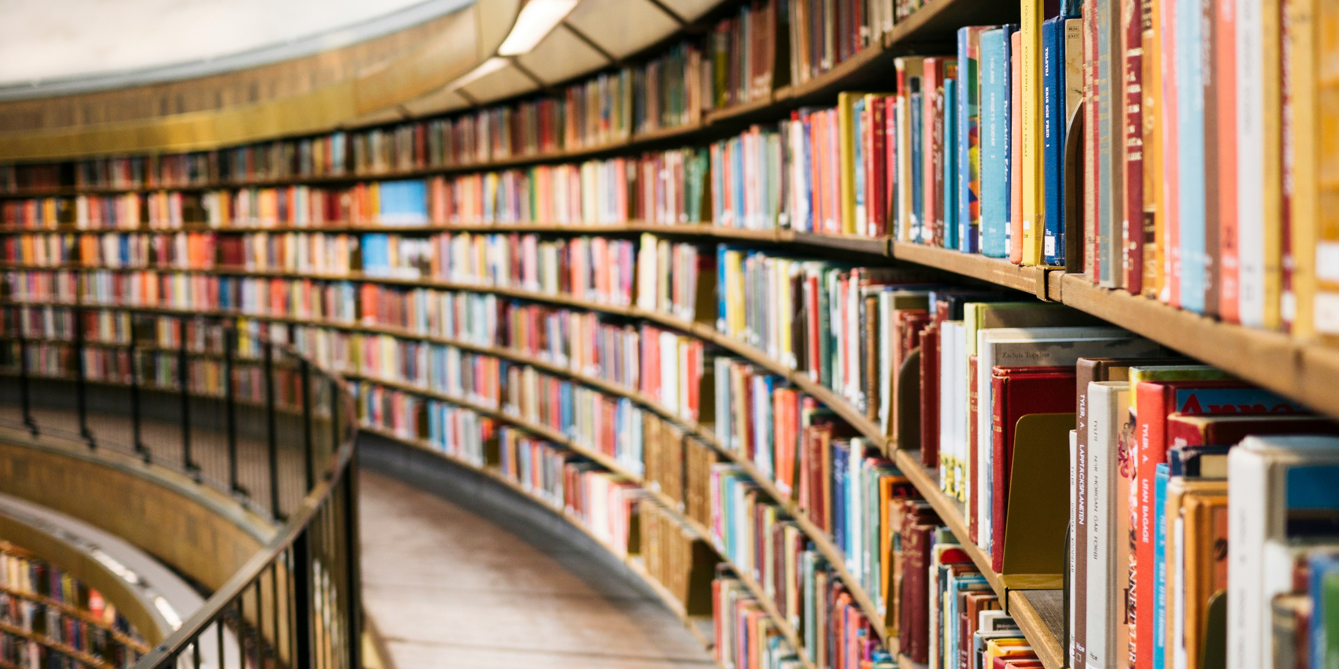 Große, geschwungene Bibliothek mit farbenfrohen Büchern – Symbol für wissenschaftliche Forschung und fundiertes Wissen.